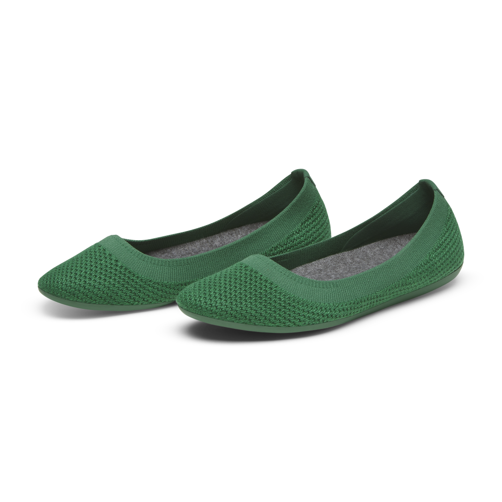 Allbirds W Tree Breezer Ballerinas in GRÜN