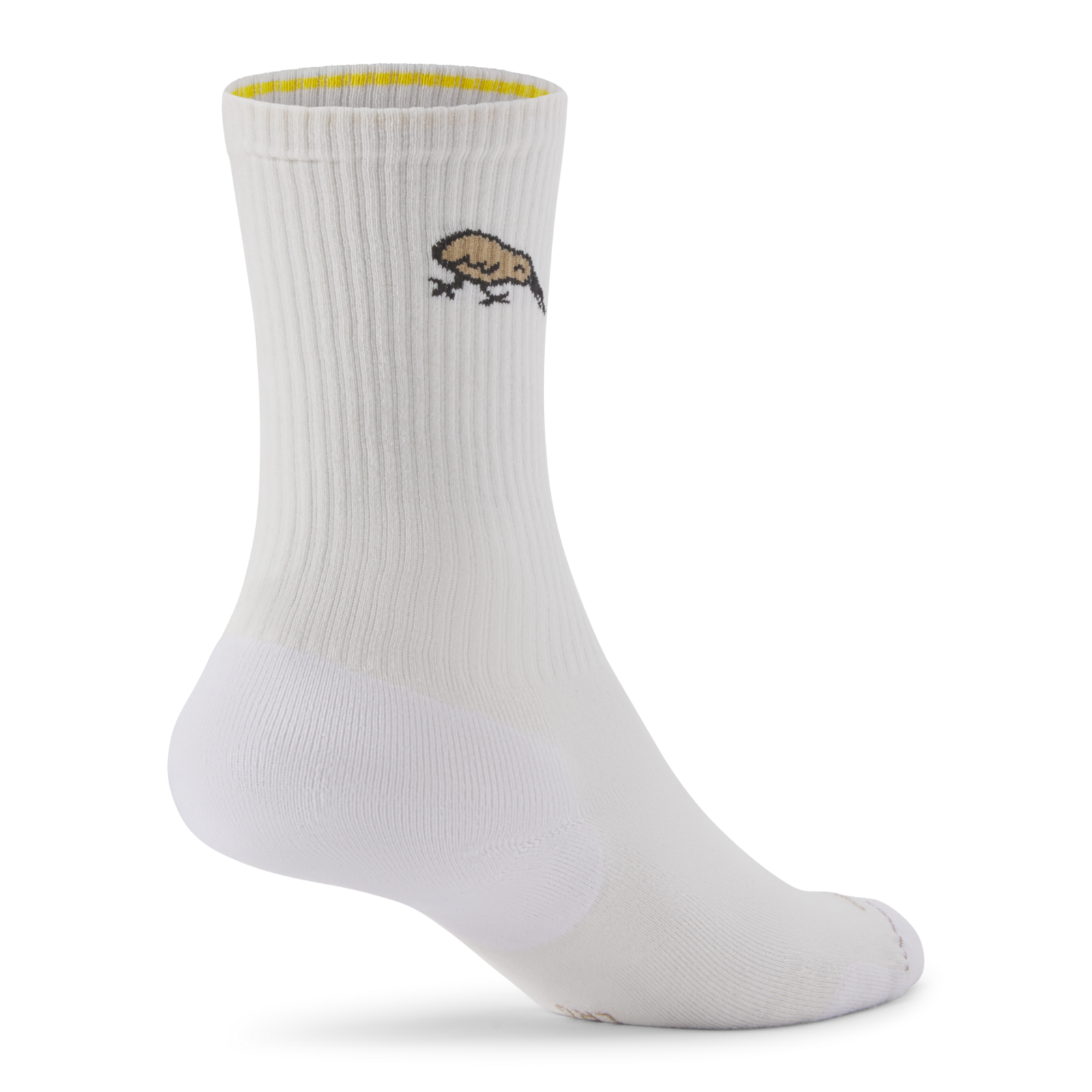 Allbirds Anytime Crew Sock in WEISS